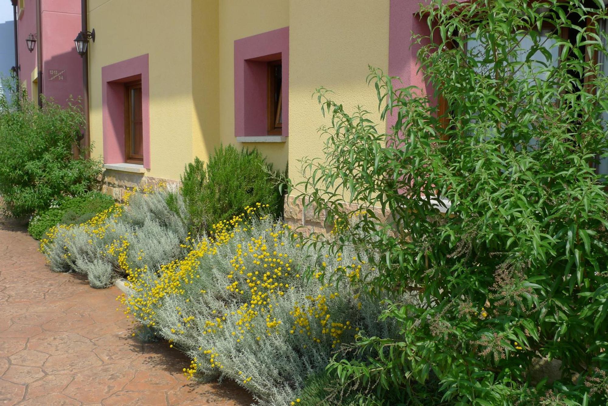 Apartamentos Rurales Antojanes Granda  エクステリア 写真